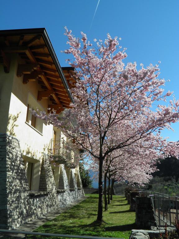 Villa Primula Bellagio Bilik gambar