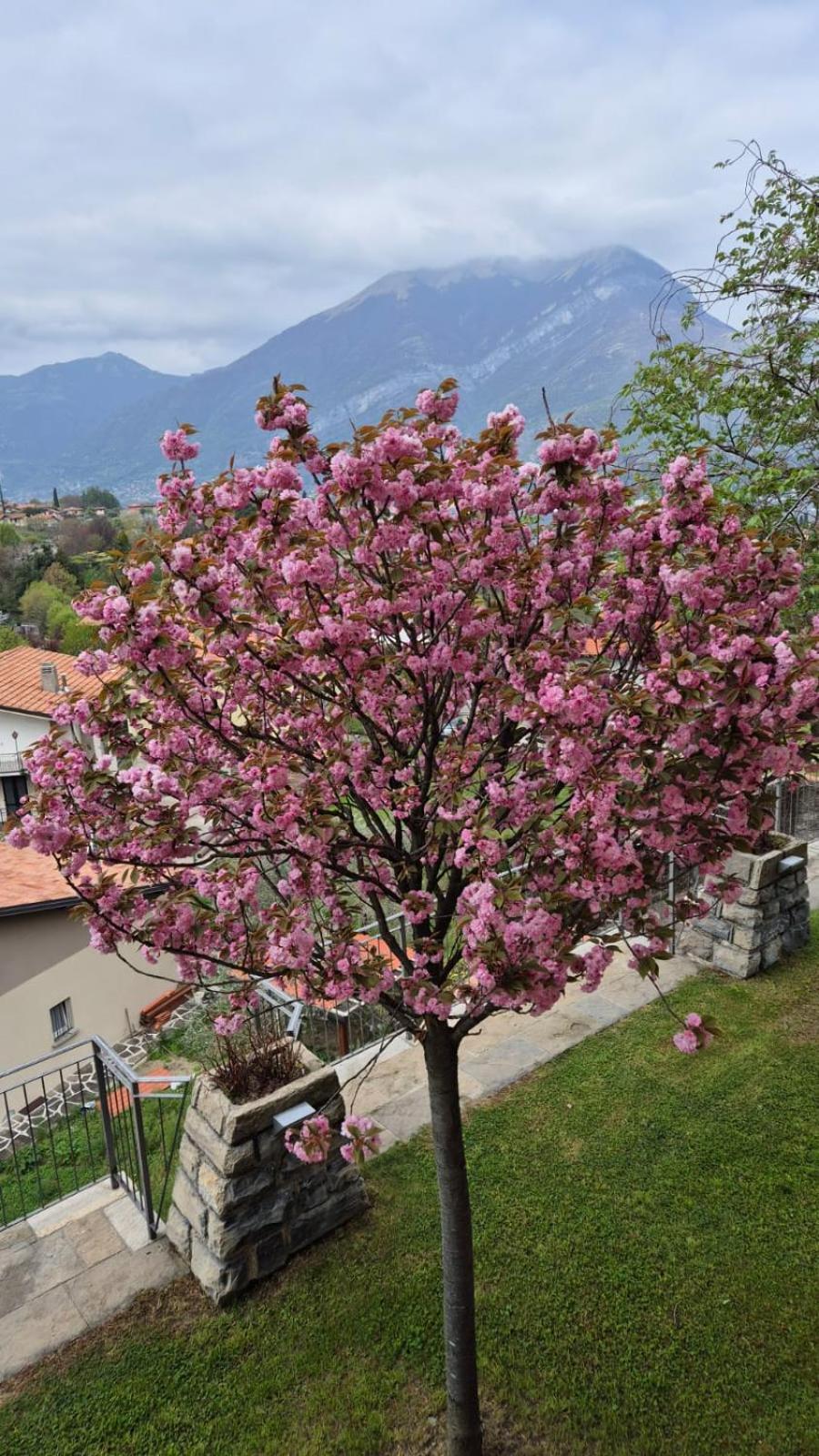 Villa Primula Bellagio Luaran gambar