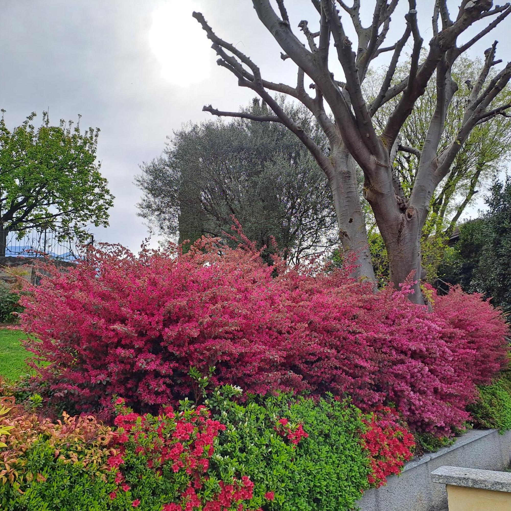 Villa Primula Bellagio Luaran gambar